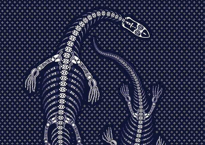 绝对贵州第二季/寨生再生作品集