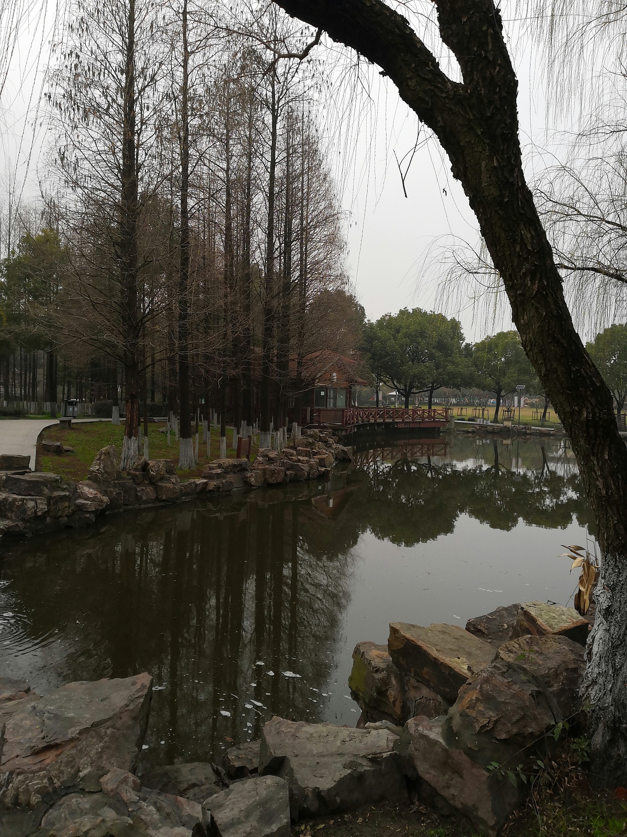 上海泗泾公园图片