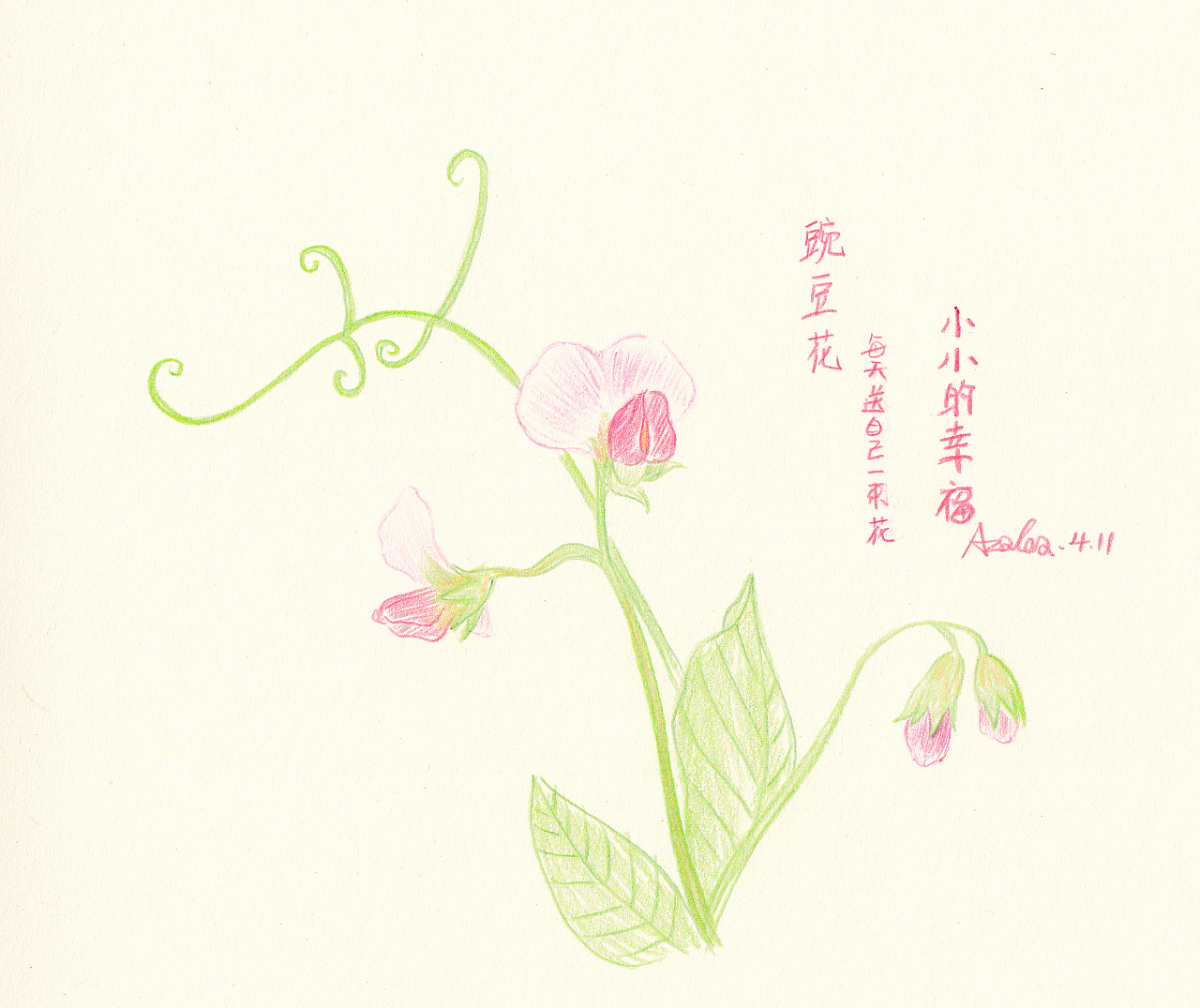 可爱的小豌豆花怎么画图片