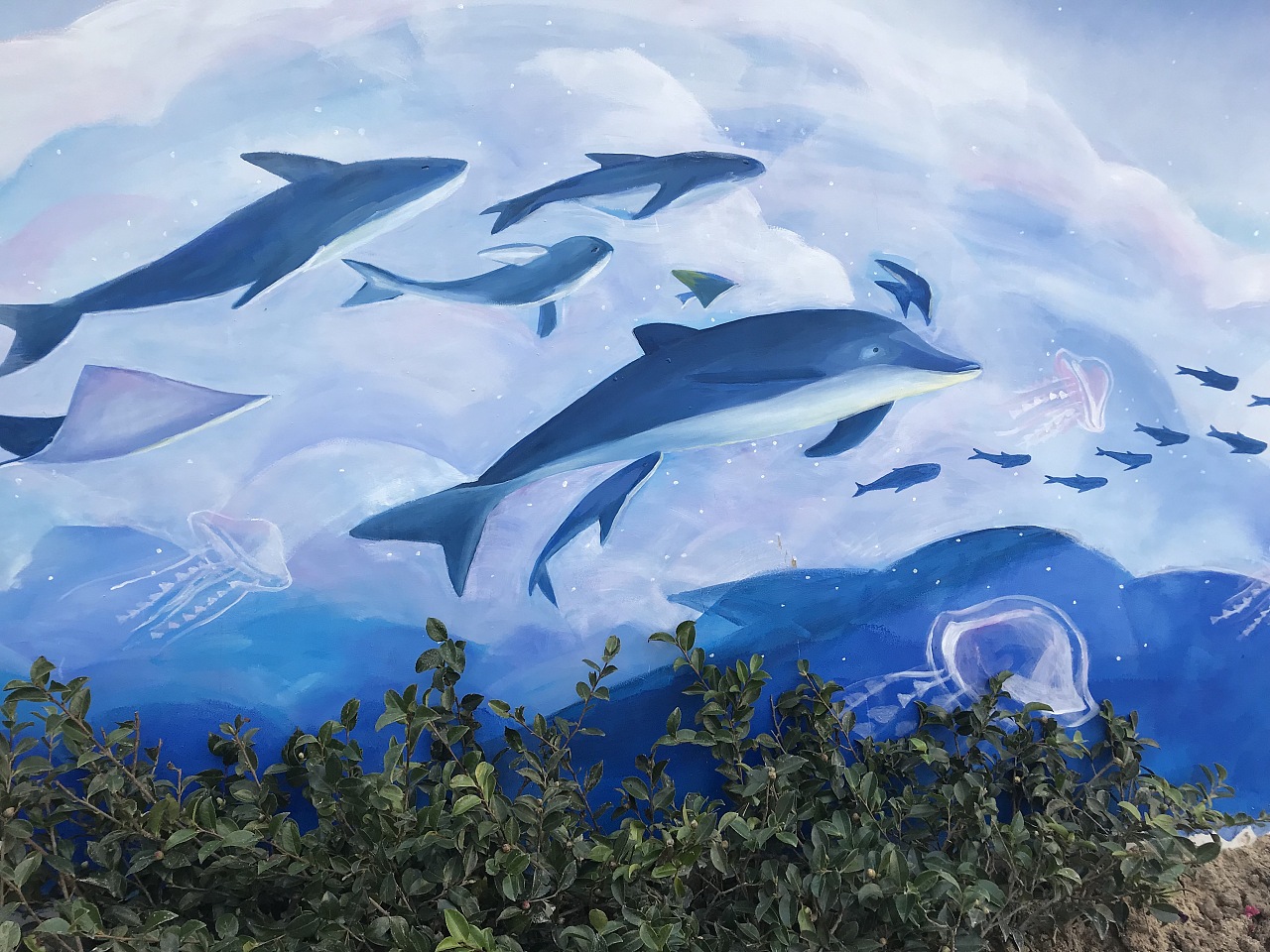 上海浦东楼盘小区 墙绘 蓝天海洋飞鱼
