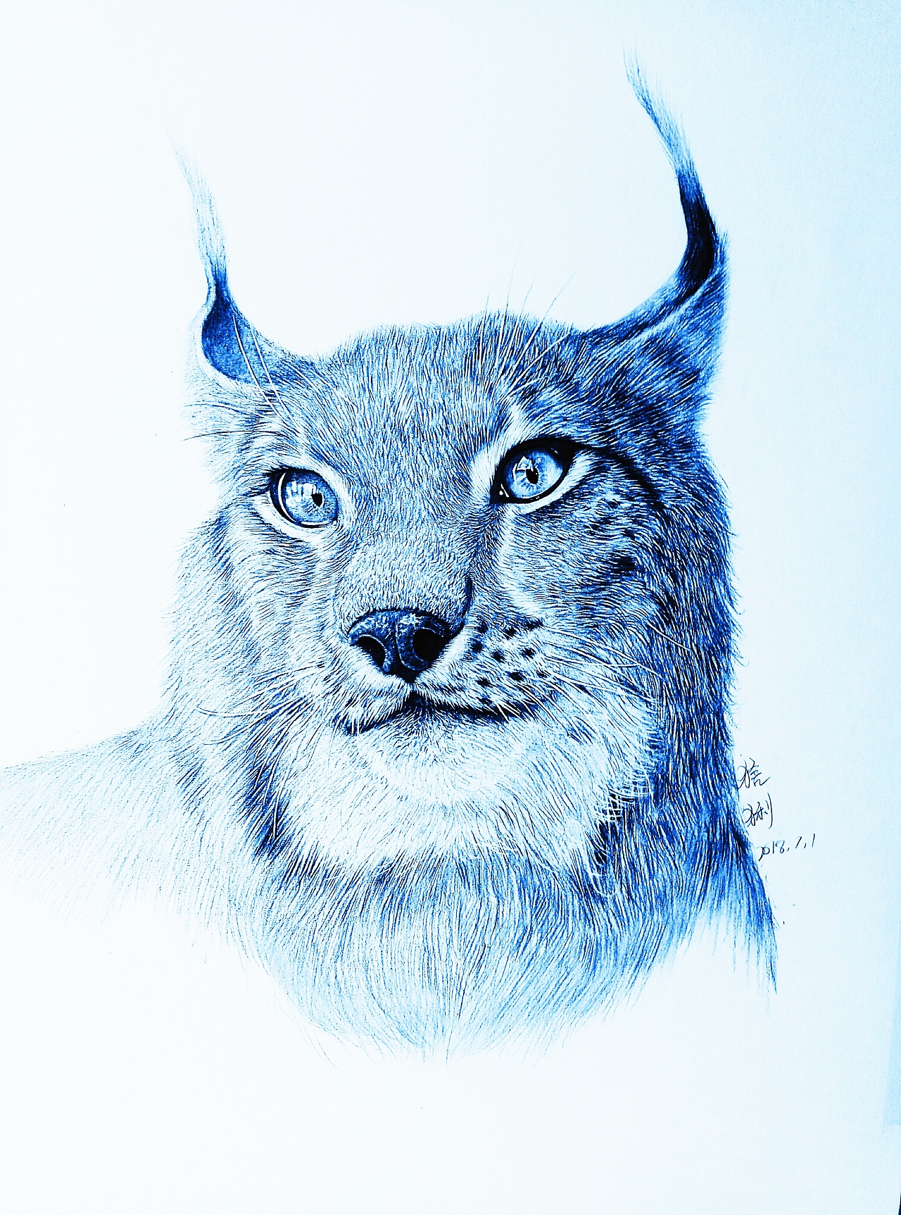 动物写实|纯艺术|绘画|唐宋八大 - 原创作品 - 站酷 (zcool)