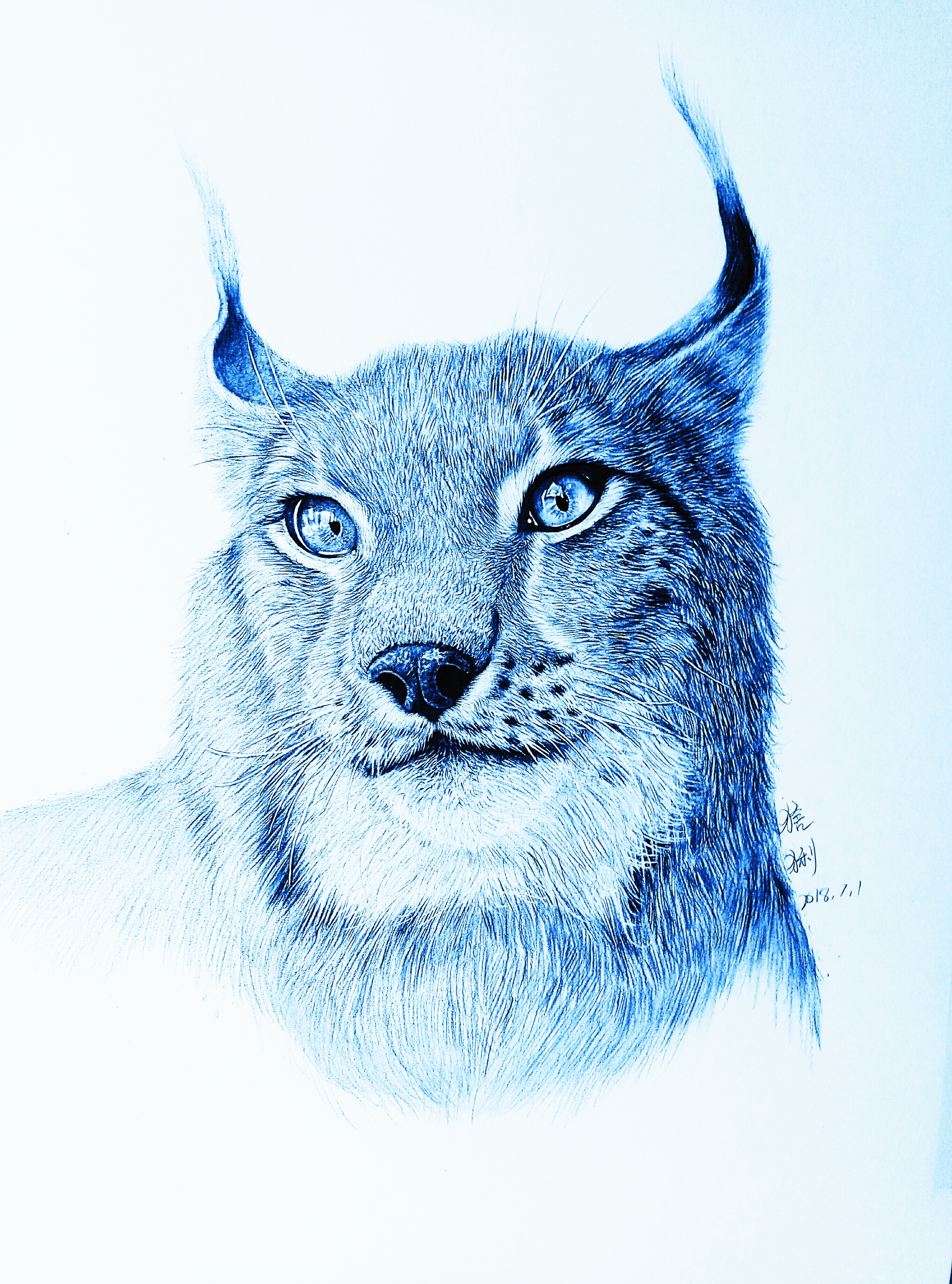 动物写实|纯艺术|绘画|唐宋八大 - 原创作品 - 站酷 (zcool)