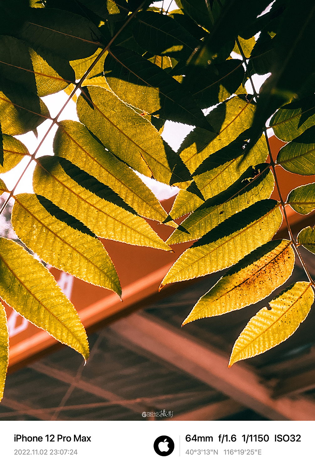 每个人都有属于自己的小时光,能带走所有的烦恼