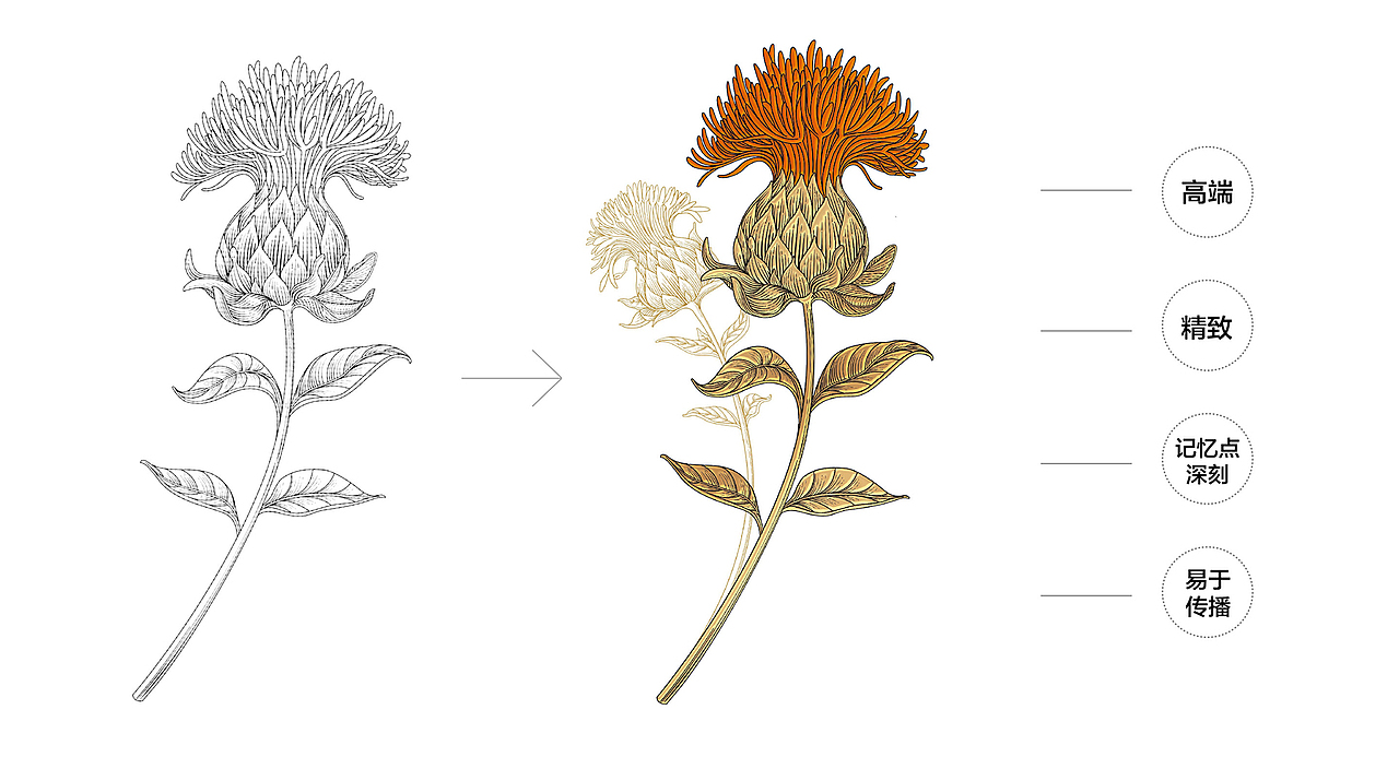 2018-2019部分案例作品（二）（图ZMTg5ODg3MzA0） - 包装 - 站酷设计师Andy赵设计与色彩原创素材 - 站酷ZCOOL