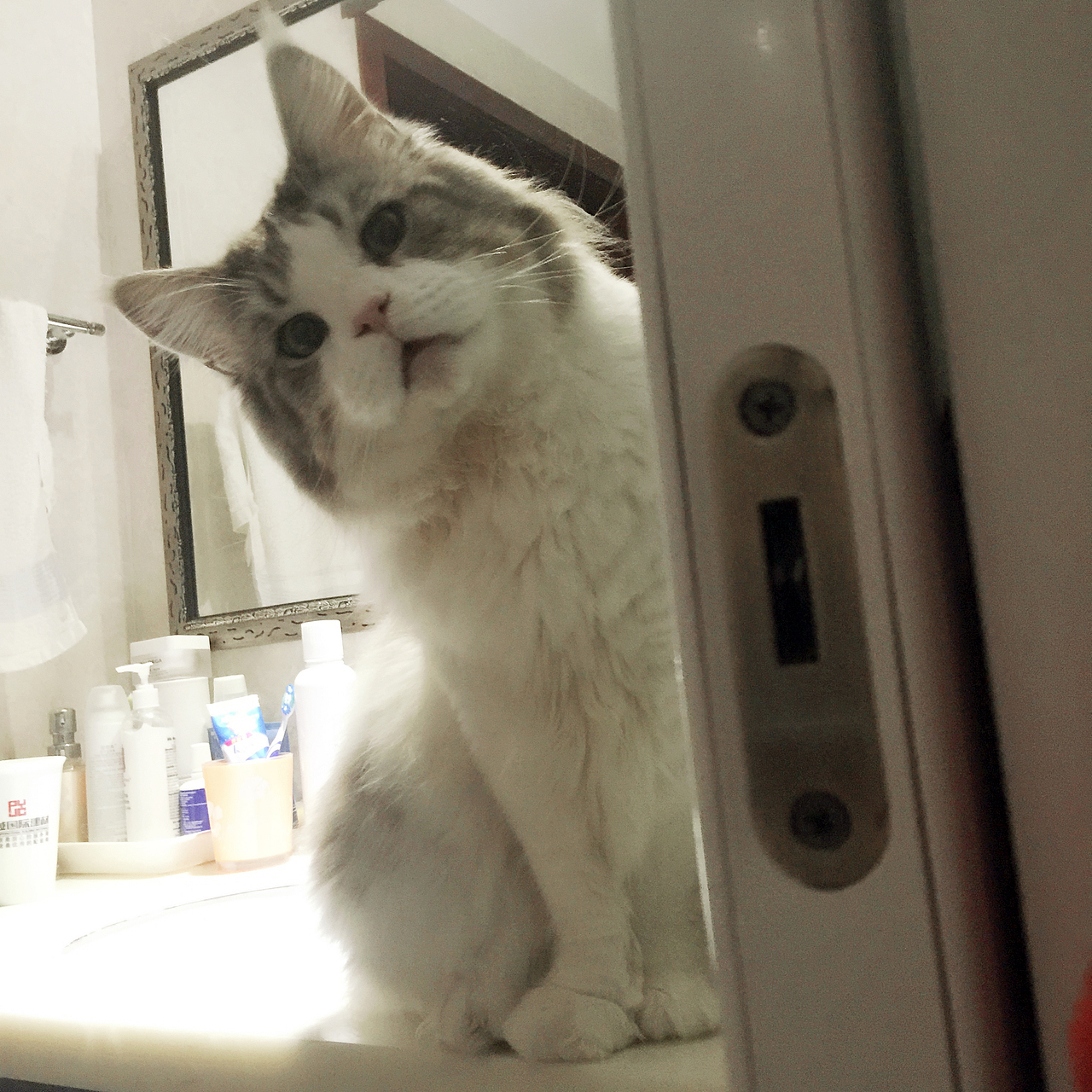 手绘，给我永远的豆豆