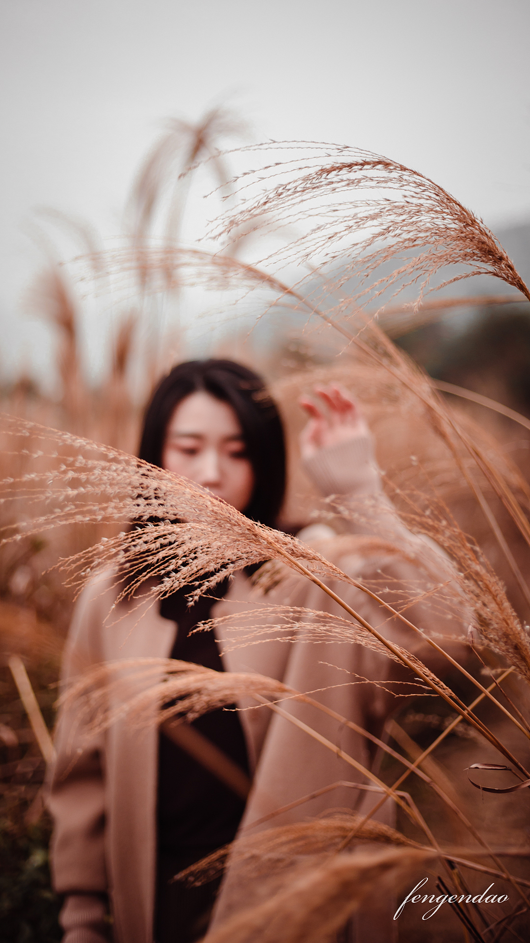 去不了大西北那就去大罗山逛逛吧～（图ZMjM4MTYwMjU2） - 人像摄影 - 站酷设计师fengendao_原创素材 - 站酷ZCOOL
