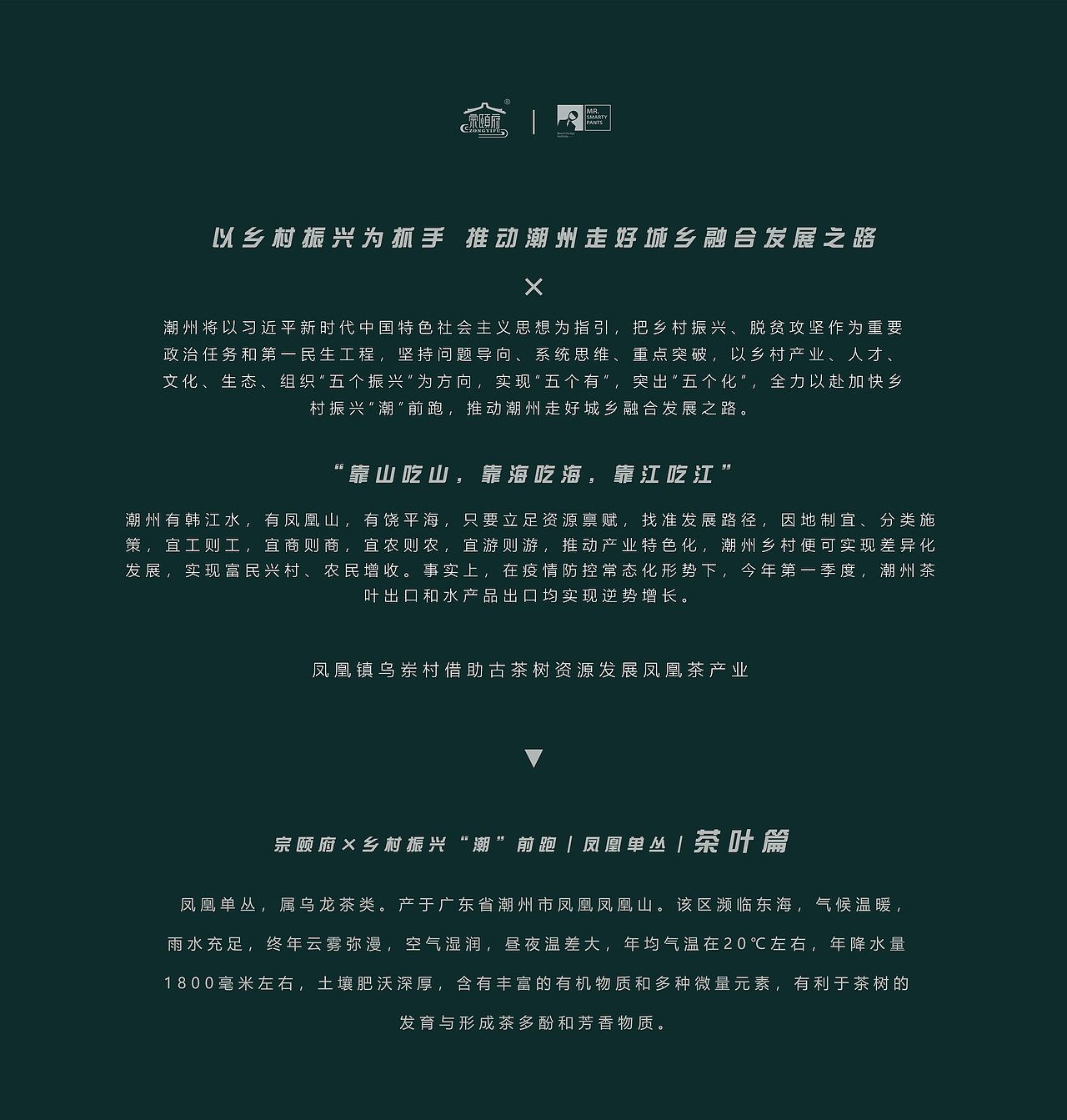 宗颐府×乡村振兴“潮”前跑|凤凰单丛|茶叶篇