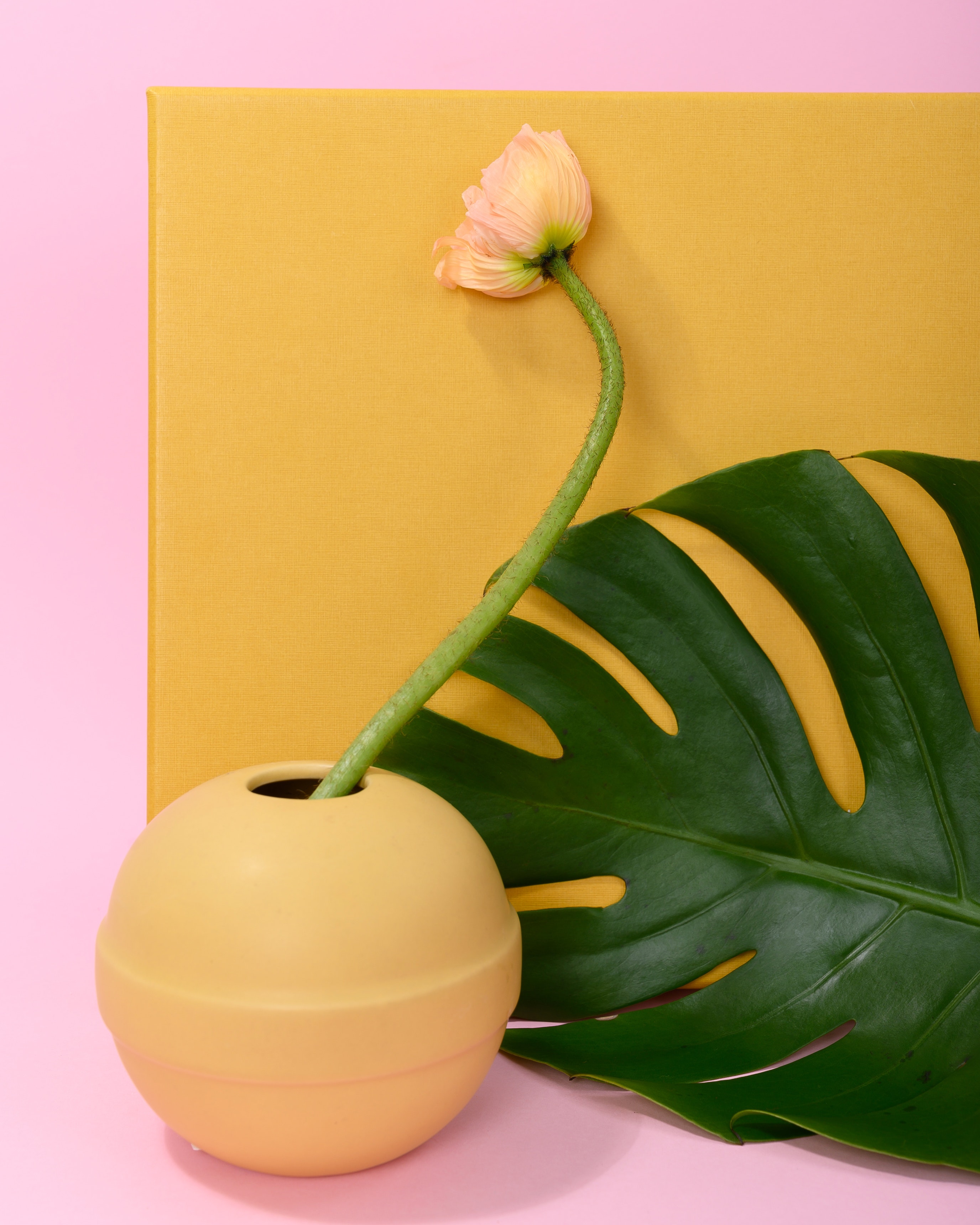 DDLLUU的个人主页（封面预览） - 主页封面设置 - 站酷设计师DDLLUU原创素材 - 站酷ZCOOL