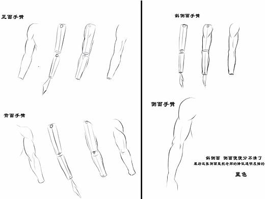手臂    