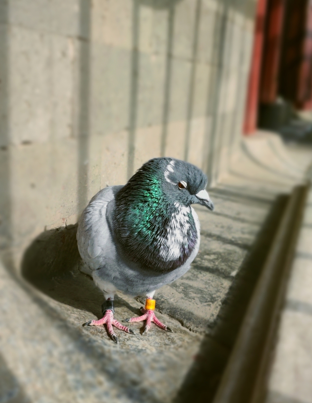 沿途的风景（图ZMjI4NzQ4MDQ4） - 风光摄影 - 站酷设计师大码人原创素材 - 站酷ZCOOL