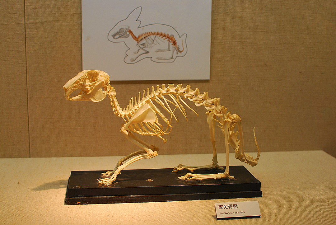 广州花城广场、省博物馆游记