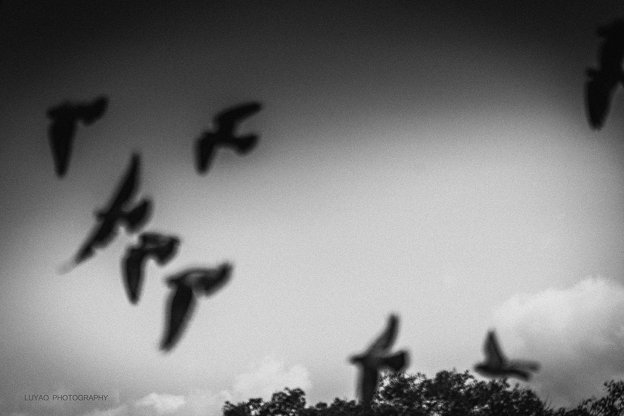 日本关西の旅（图ZNzkwNjQxNTI=） - 风光摄影 - 站酷设计师戴帽子的那个路遥原创素材 - 站酷ZCOOL