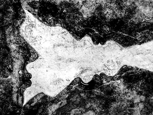 水污染对于人与自然的影响