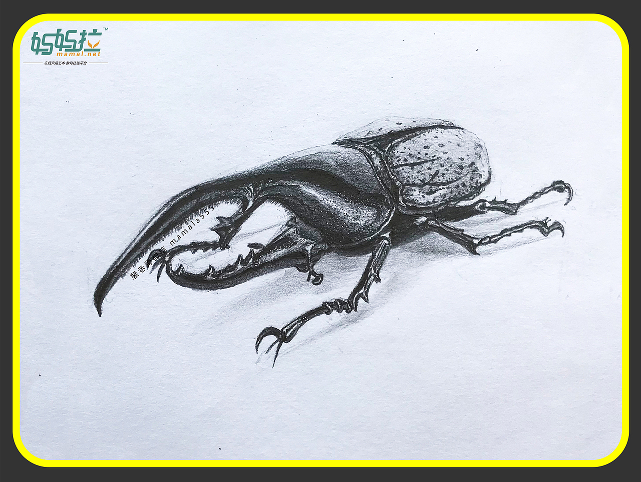 素描长戟大兜虫