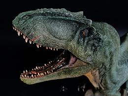 涂装作品丨野火 南方巨兽龙