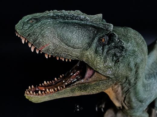 涂装作品丨野火 南方巨兽龙