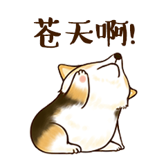 小猪表情