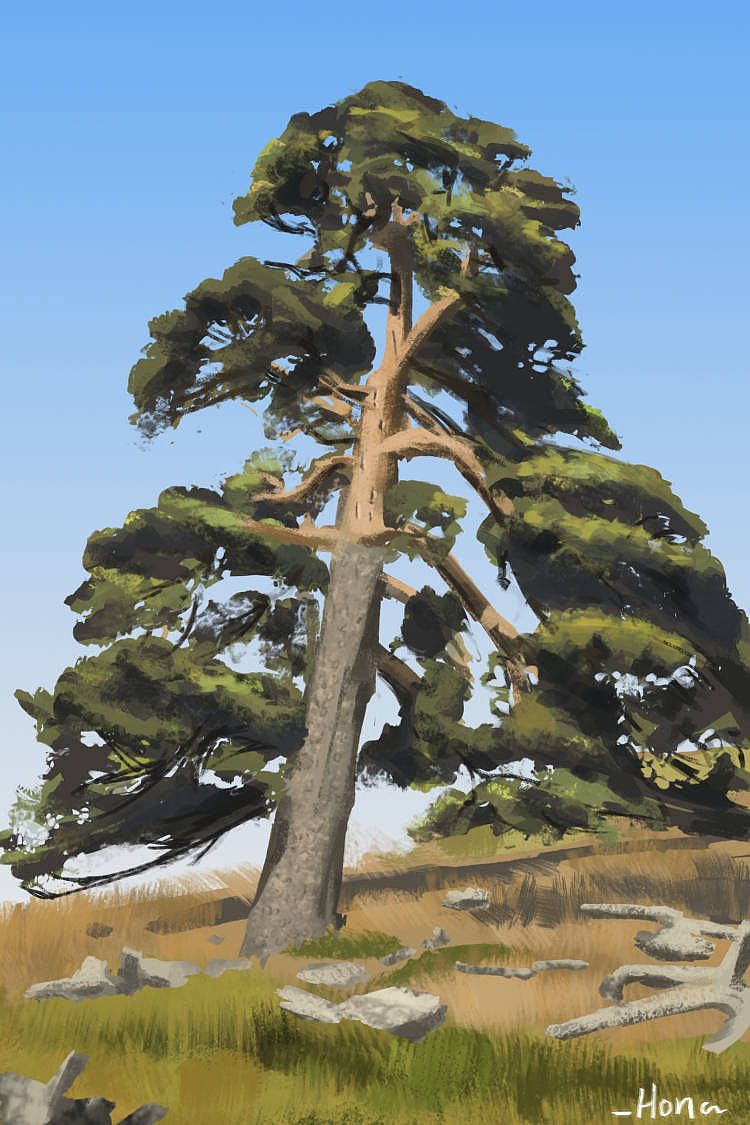 树木的绘画步骤（图ZMzQ3NDI3Nzk2） - 游戏原画 - 站酷设计师_Hona原创素材 - 站酷ZCOOL