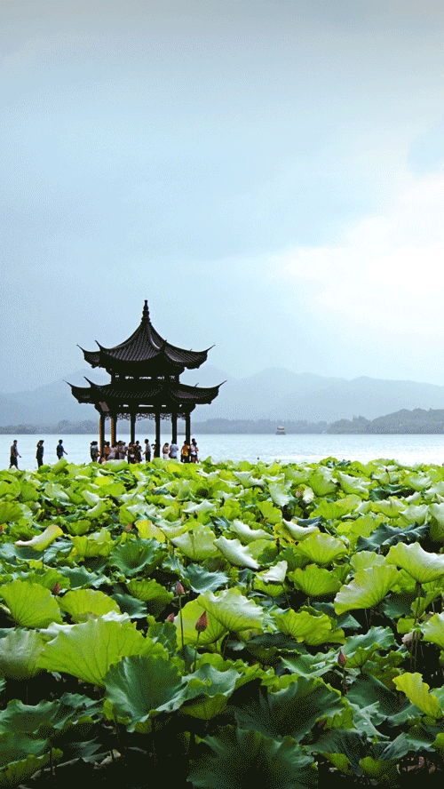 UI动效（图ZMTA4MTY5MzUy） - 动效设计 - 站酷设计师上官寒武原创素材 - 站酷ZCOOL