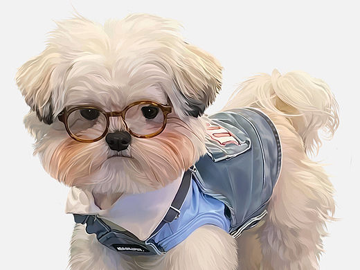宠物画像|宠物周边