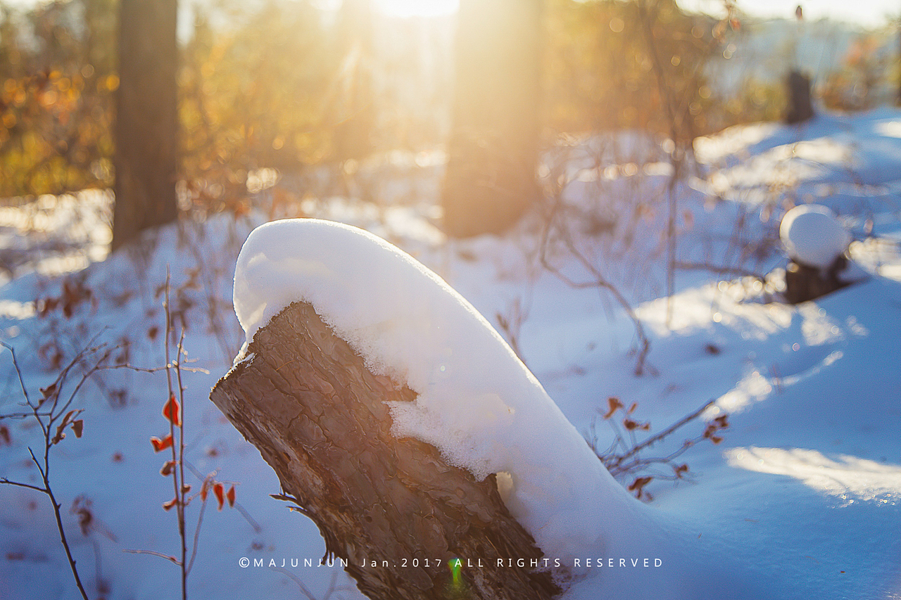 大兴安岭清晨的一缕阳光
