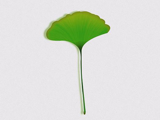 銀杏葉（個人主頁-ZMjQ3Mzg1MDQ=） - 像素畫 - 站酷設(shè)計師曉悅悅原創(chuàng)素材 - 站酷ZCOOL