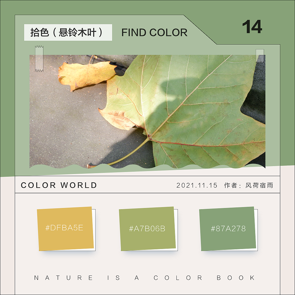 色彩（悬铃木）（图ZMjgyNzQ3Mzcy） - 其他 - 站酷设计师风荷宿雨原创素材 - 站酷ZCOOL