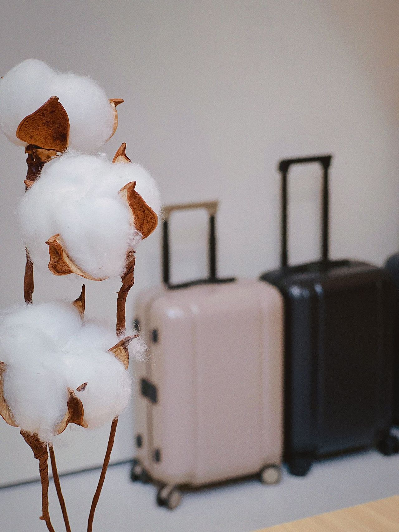 探店之大疆文创