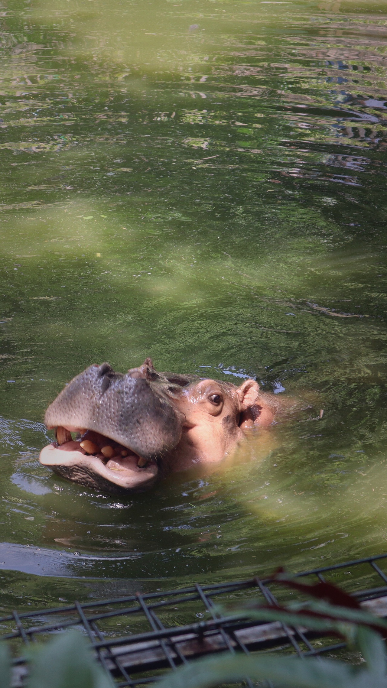 动物园里的他们