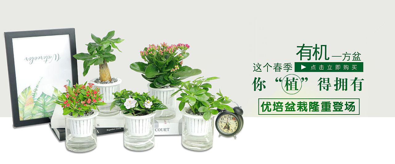 2018鲜花园艺海报（图ZMTA1MzEzMjI4） - 电商 - 站酷设计师电商合成设计师原创素材 - 站酷ZCOOL