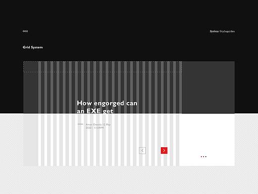 Hacker Website Concept