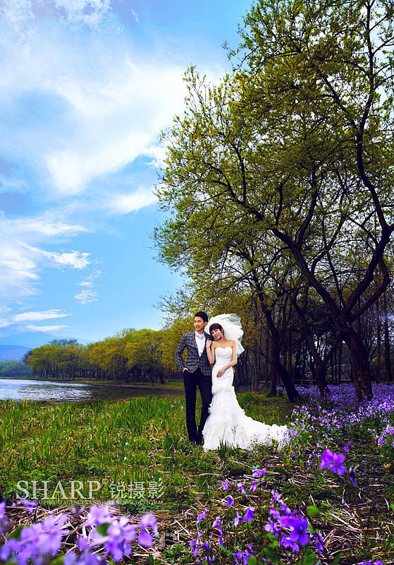 杭州拍婚纱照工作室_杭州西湖图片(3)