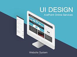 Web System