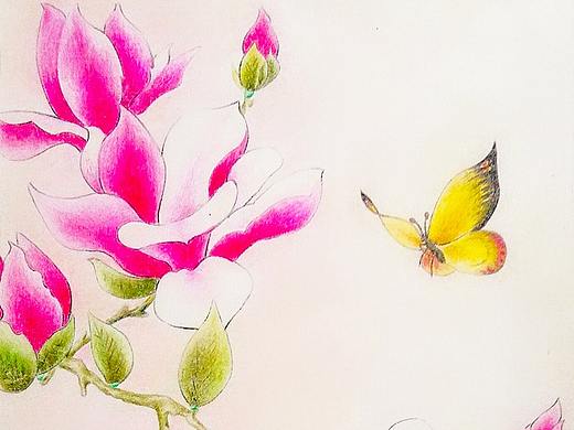 木棉花