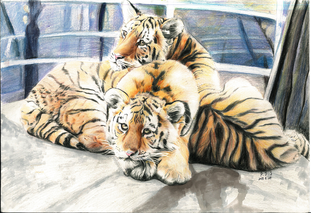 完成两只小老虎,自己另加了地面和背景并标注署名和日期,作品完成