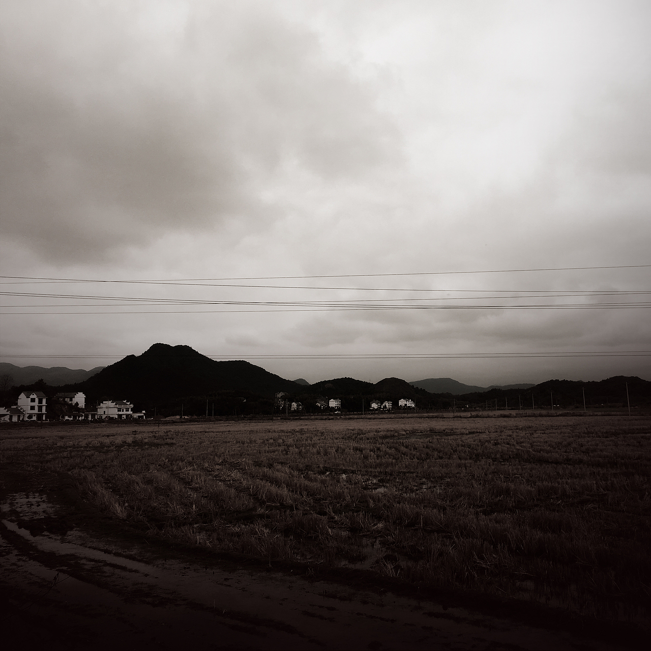 被忽视的自然美（图ZMTI0OTU3NjI0） - 风光摄影 - 站酷设计师Jauver原创素材 - 站酷ZCOOL