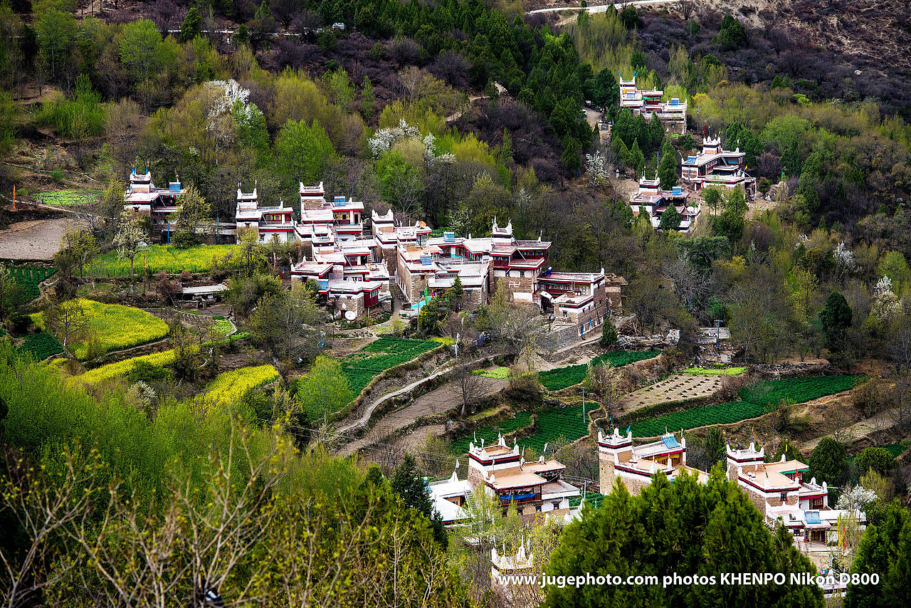 金川梨花（图ZMTA1OTU0ODA0） - 风光摄影 - 站酷设计师聚格影像原创素材 - 站酷ZCOOL