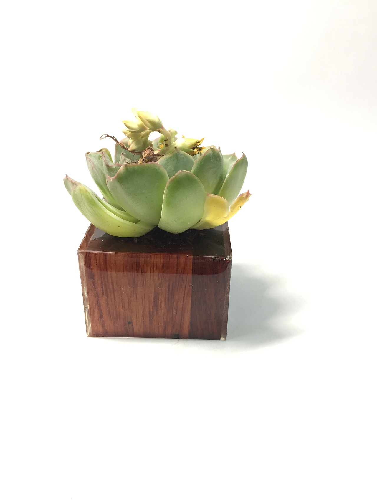 物望诗（图ZODIwMjE2NTI=） - 工艺品设计 - 站酷设计师格物顧原创素材 - 站酷ZCOOL