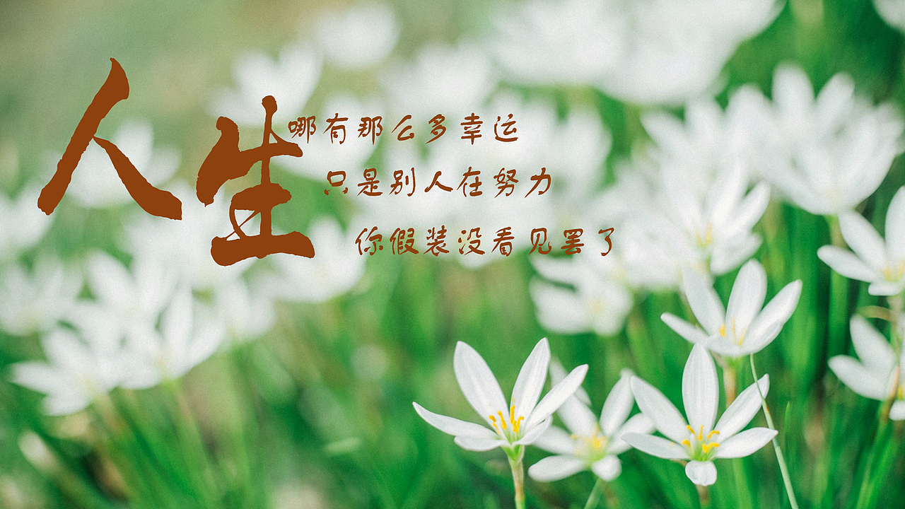 banner文字排版第五期