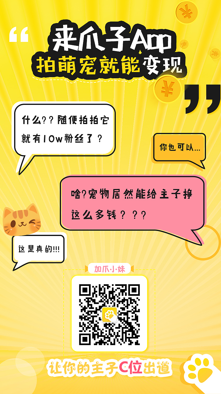 爪子APP海报（图ZMTQ5MzYyNjUy） - 海报 - 站酷设计师是菜大爷呀原创素材 - 站酷ZCOOL
