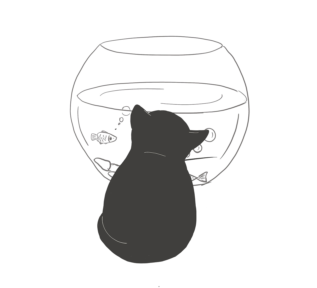 小黑猫煤球球的日常