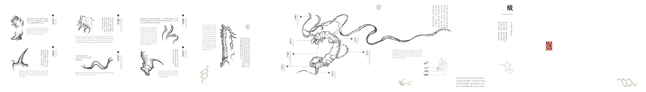 《诗经》中的昆虫（图ZMTcxMDk3NjAw） - 手办/模玩 - 站酷设计师鱿小哉原创素材 - 站酷ZCOOL