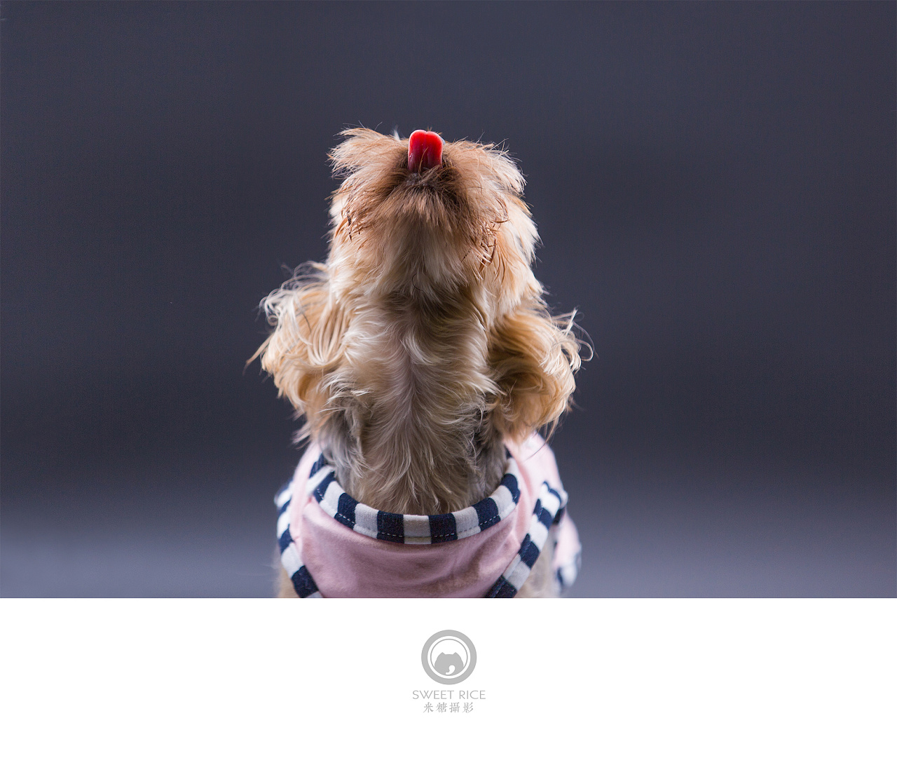 【吐舌菌小momo】呆萌小可爱