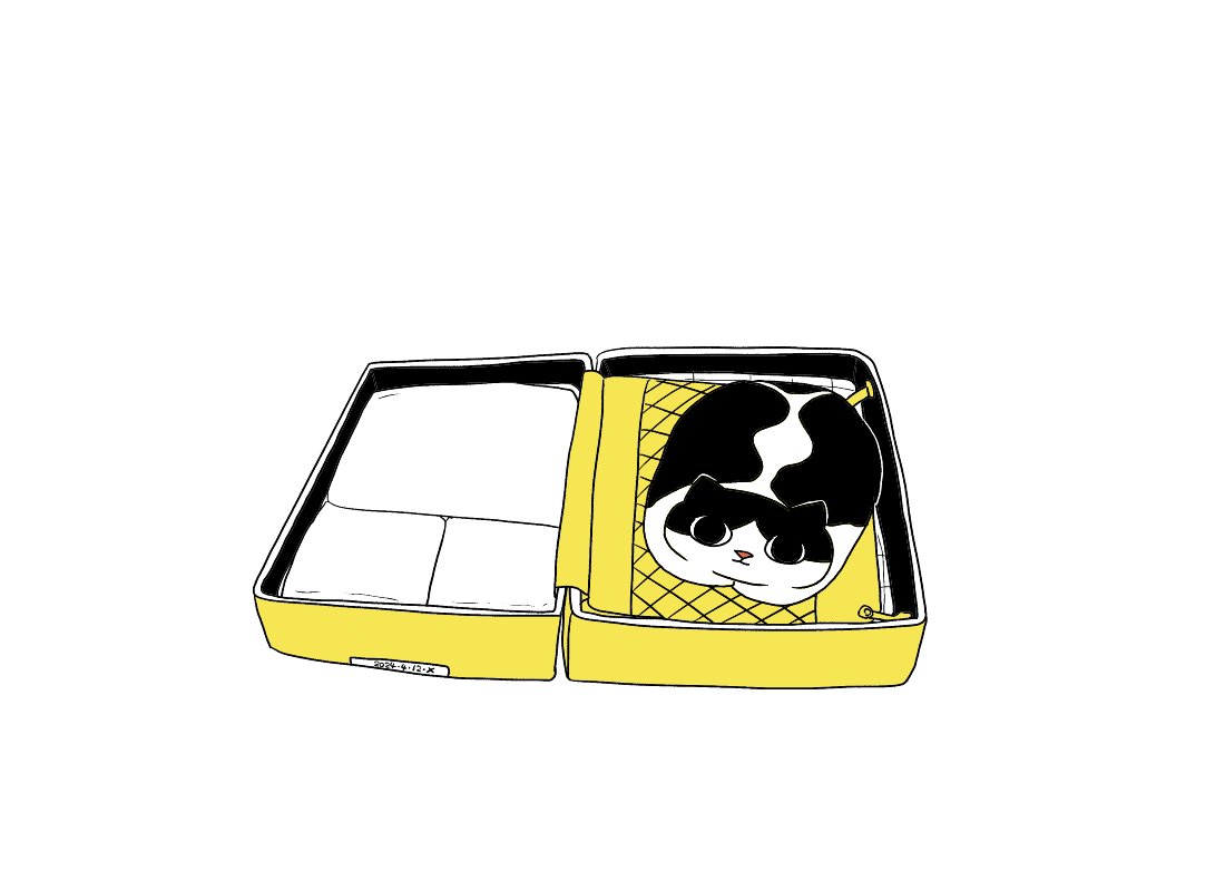 每日一画|猫咪日常第十四弹动图
