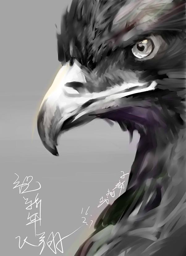 鹰|插画|创作习作|子都树蚁 - 原创作品 - 站酷 (zcool)