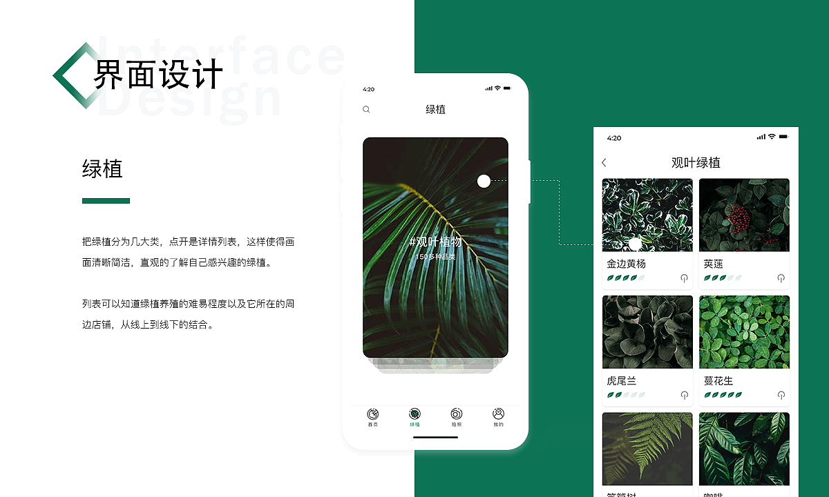 绿植plants