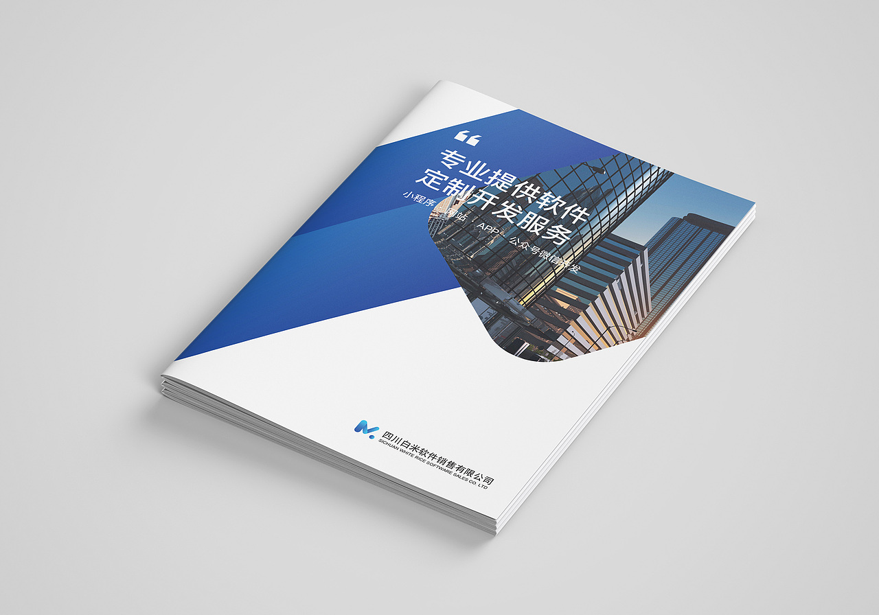 软件公司宣传画册