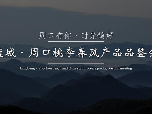 河南蓝城·周口桃李春风产品品鉴会活动方案