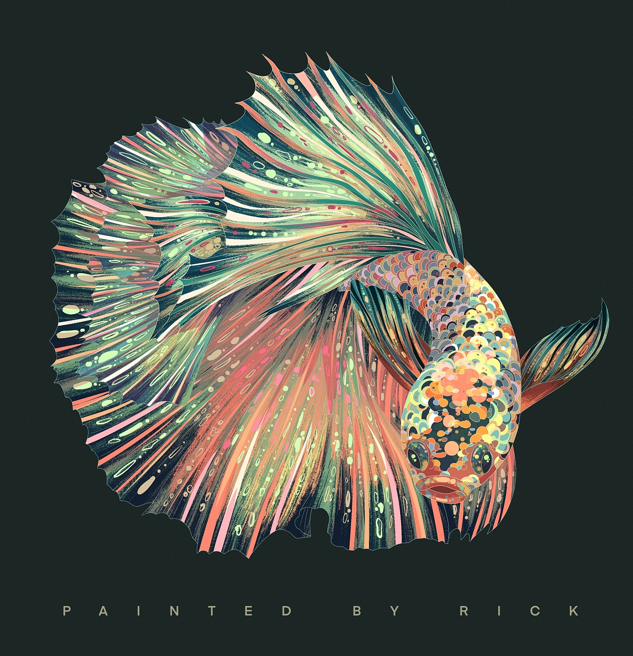 《暹罗斗鱼》|插画|创作习作|rick迁 - 原创作品 - 站酷 (zcool)