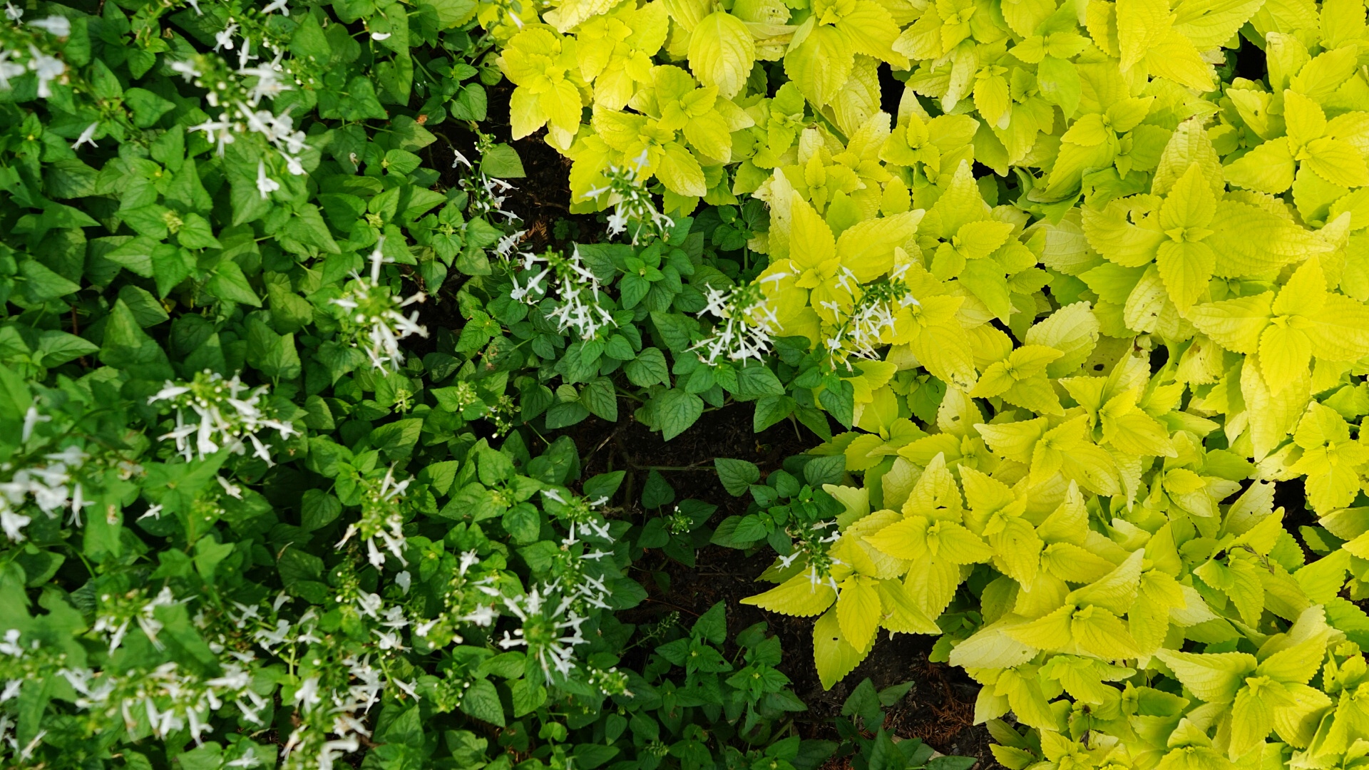 泡面不加盖的个人主页（封面预览） - 主页封面设置 - 站酷设计师泡面不加盖原创素材 - 站酷ZCOOL